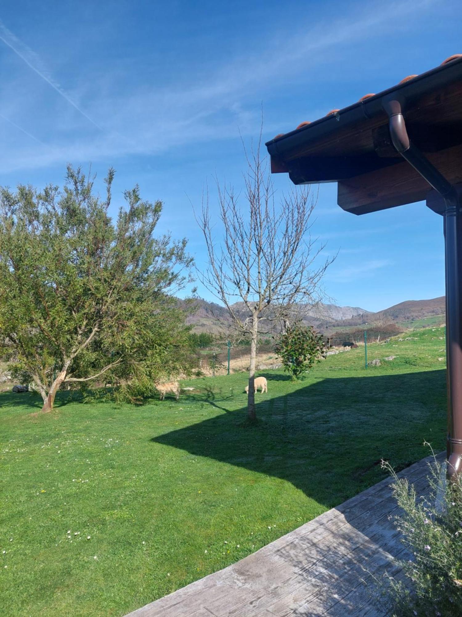 Ferienwohnung Fuente El Güeyu Onís Exterior foto